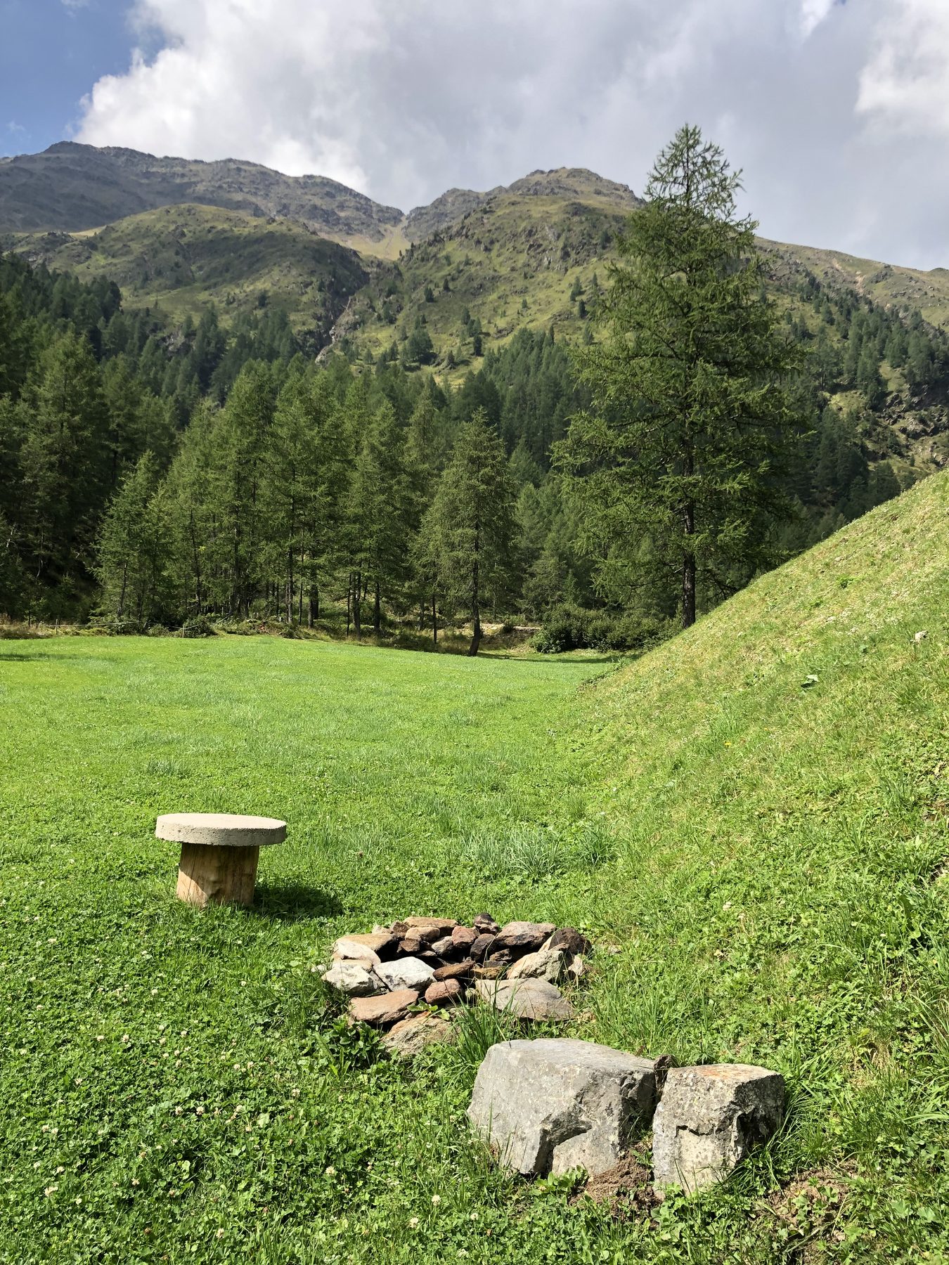 Grillplatz auf der Almwiese mit Bergblick